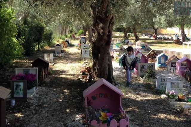 Acquaviva, alla scoperta del "Parco degli affetti": il colorato cimitero degli animali